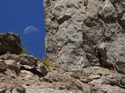 Big Bend National Park