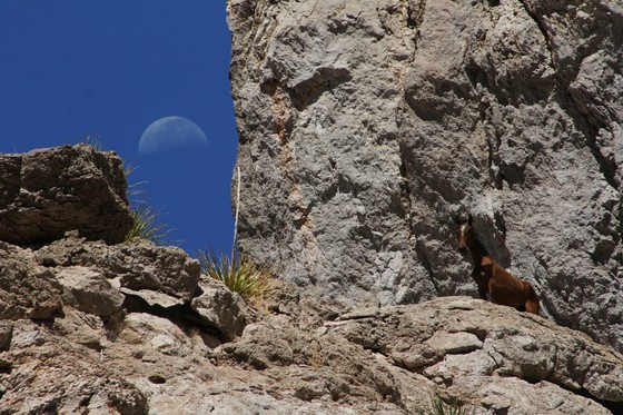 Big Bend National Park
