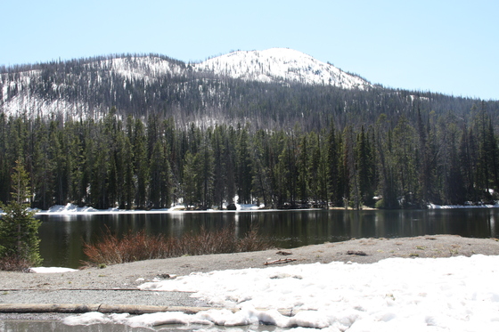 Yellowstone
