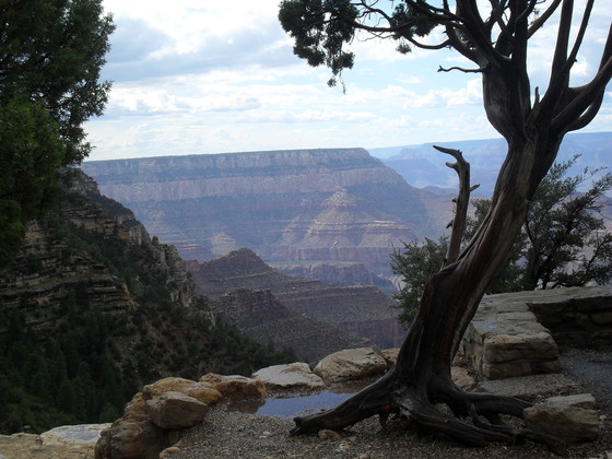 Grand Canyon National Park