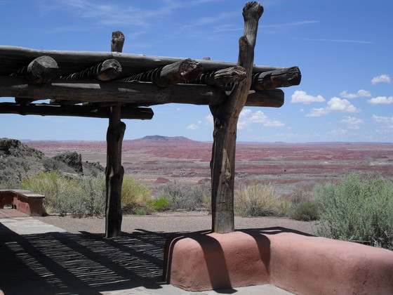 Petrified Forest National Park
