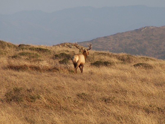 Point Reyes National Seashore