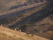 Point Reyes National Seashore