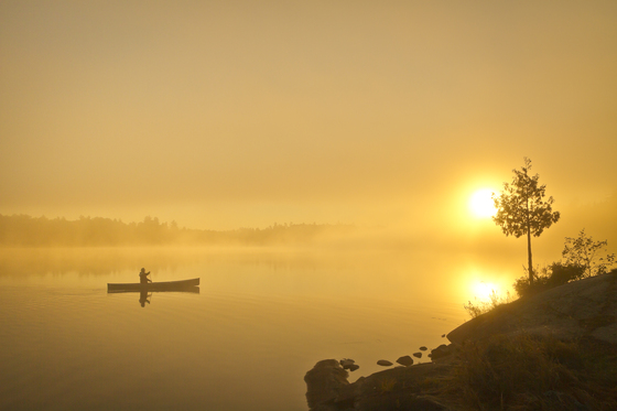 Superior National Forest Boundary Waters Canoe Area Wilderness