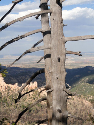 Bryce Canyon
