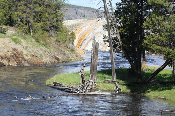 Yellowstone National Park