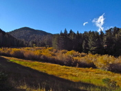 San Bernardino National Forest