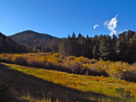 San Bernardino National Forest