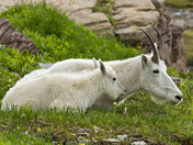 Glacier National Park