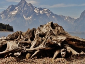 Grand teton national park
