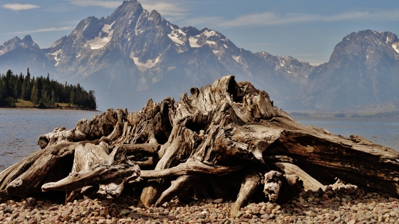 Grand teton national park