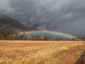 Targhee National Forest