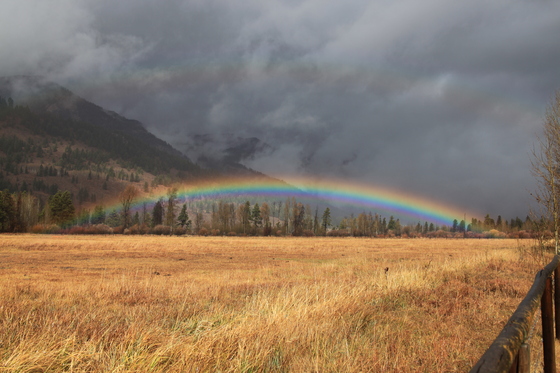 Targhee National Forest