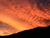 Targhee National Forest
