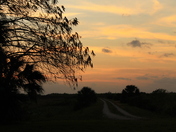 Arthur R. Marshall Loxahatchee Wildlife Refuge