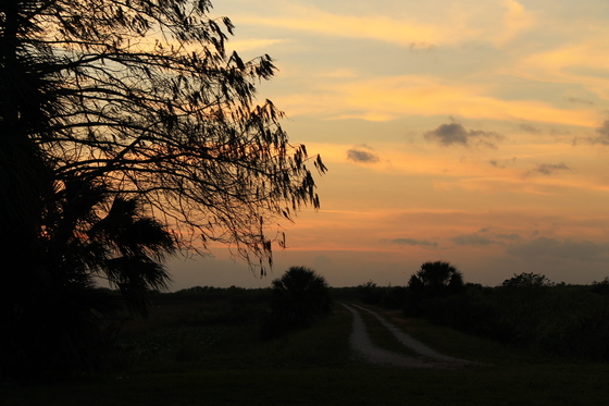 Arthur R. Marshall Loxahatchee Wildlife Refuge
