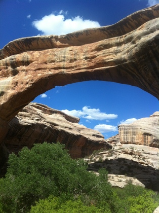 Natural Bridges Monument