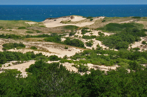 Cape Cod National Seashore