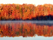 Nicolet National Forest