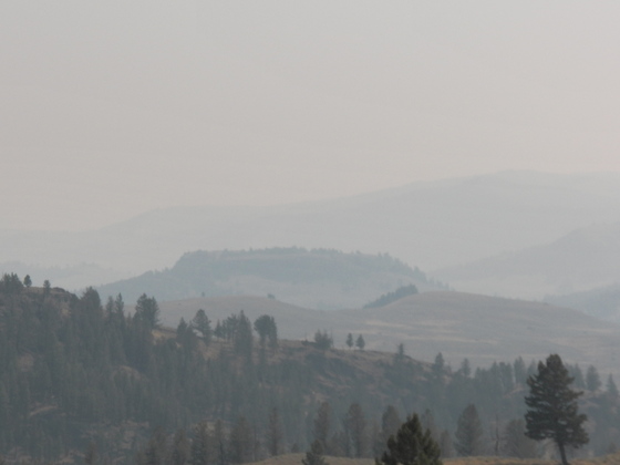Yellowstone NP