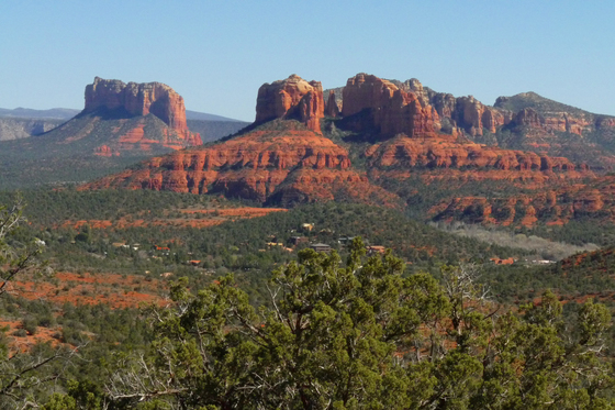 Coconino National Forest