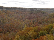 Daniel Boone National Forest