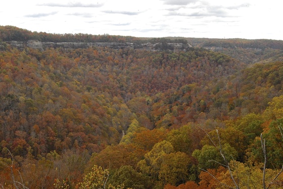 Daniel Boone National Forest
