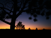Bryce Canyon National Park