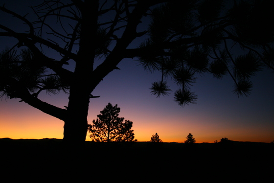 Bryce Canyon National Park