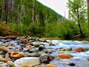 Bed Rock Camp Ground, Oregon
