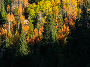 Rocky Mountain National Park