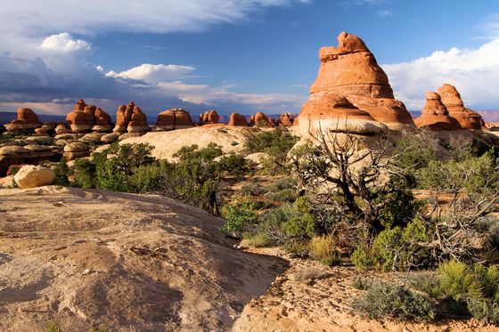 Canyonlands Needles District