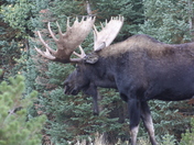 Rocky Mountain National Park