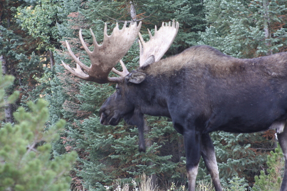 Rocky Mountain National Park