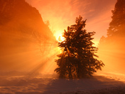 Yosemite National Park