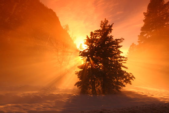 Yosemite National Park