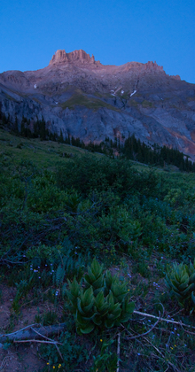Uncompahgre National Forest