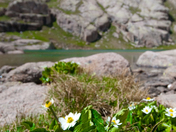 Weminuche Wilderness