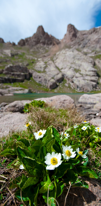 Weminuche Wilderness