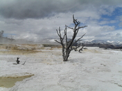 Yellowstone National Park