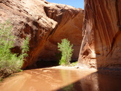 Grand Staircase Escalante National Monument