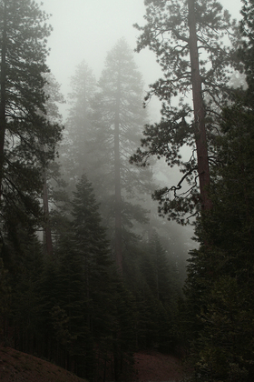 Yosemite National Park