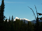 Denali National Park