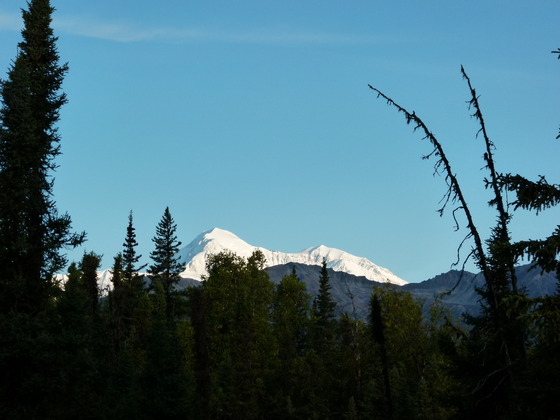 Denali National Park