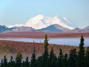Denali National Park