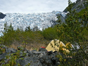 Chugach National Forest