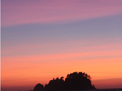 Olympic National Park