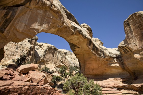 Capitol Reef National Park