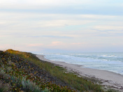 Canaveral National Seashore