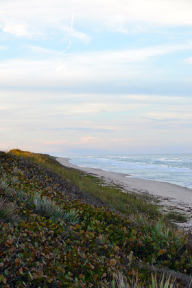 Canaveral National Seashore